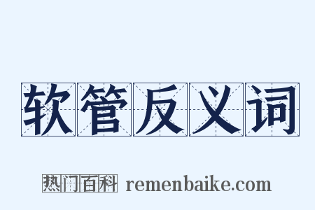软管反义词是什么意思的图片